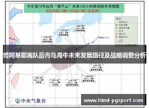 博阿基耶离队后青岛海牛未来发展路径及战略调整分析