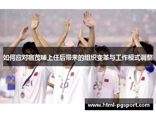 如何应对宿茂臻上任后带来的组织变革与工作模式调整