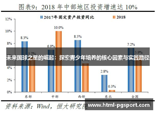 未来国球之星的崛起：探索青少年培养的核心因素与实践路径