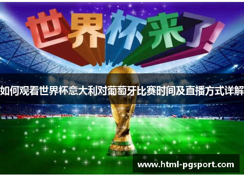 如何观看世界杯意大利对葡萄牙比赛时间及直播方式详解