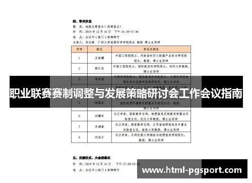 职业联赛赛制调整与发展策略研讨会工作会议指南