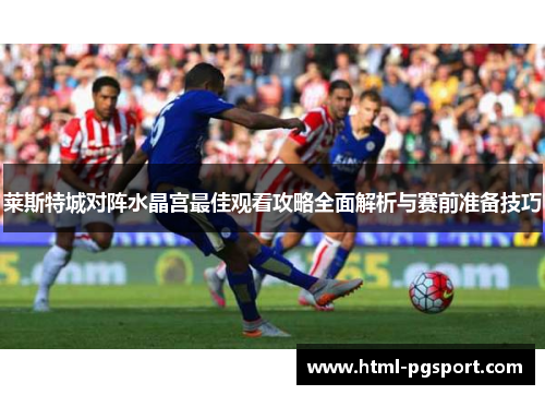 莱斯特城对阵水晶宫最佳观看攻略全面解析与赛前准备技巧