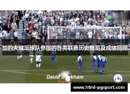 加的夫城足球队参加的各类联赛历史概览及成绩回顾 加的夫城足球队参加的各类联赛历史概览及成绩回顾