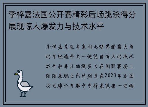 李梓嘉法国公开赛精彩后场跳杀得分展现惊人爆发力与技术水平