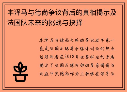 本泽马与德尚争议背后的真相揭示及法国队未来的挑战与抉择